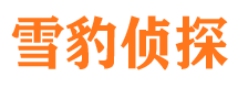 海丰市侦探公司